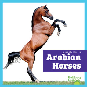 Arabian Horses - 9798892139434 - 9798892139434 by Rachel Grack, N/A, 9798892139434