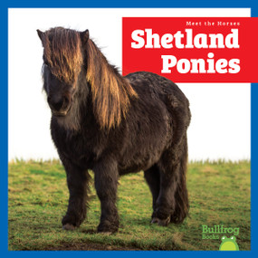 Shetland Ponies - 9798892139526 - 9798892139526 by Rachel Grack, N/A, 9798892139526