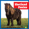 Shetland Ponies - 9798892139526 - 9798892139526 by Rachel Grack, N/A, 9798892139526