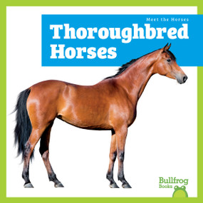 Thoroughbred Horses - 9798892139557 - 9798892139557 by Rachel Grack, N/A, 9798892139557