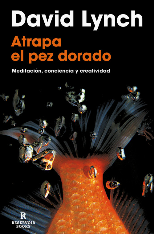 Atrapa el pez dorado / Catching The Big Fish (Spanish Edition) by David Lynch, 9788418897436