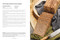 Pan, de la masa a la mesa / Bread, from Dough to Table (Spanish Edition) by Xavier Barriga, 9788425368646