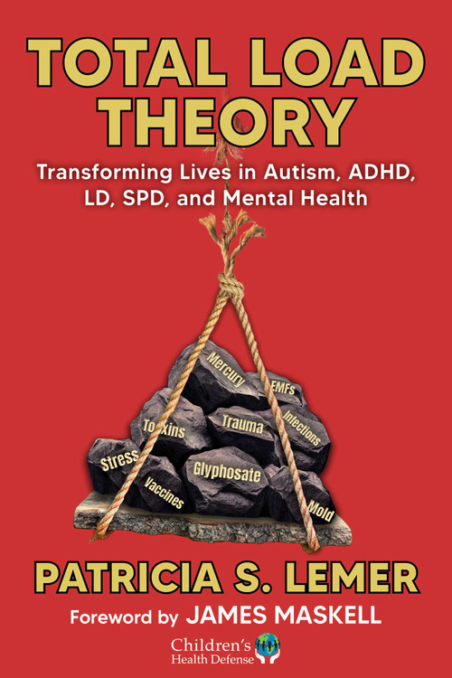 Total Load Theory (Transforming Lives in Autism, ADHD, LD, SPD, and Mental Health) by Patricia S. Lemer, James Maskell, 9781648212031