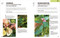 The Easy Garden (Month-by-Month Advice to Improve Your Outdoor Space) by Michael Griffiths, 9798217308187