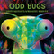 Odd Bugs (A Curious Critters Board Book) (Meet Nature's Weirdest Insects) by Laura Gehl, Gareth Lucas, 9781419783050