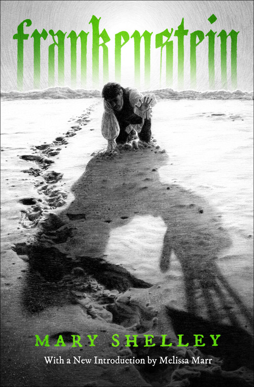 Frankenstein - 9798337202365 by Mary Shelley, Melissa Marr, Amanda Shaffer, Amanda Shaffer, 9798337202365