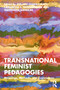 Transnational Feminist Pedagogies (Meanings, Methods, and Experiences) by Debjani Chakravarty, Samantha L. Vandermeade, Suchismita Banerjee, 9781032879635