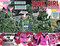 Tank Girl: The Motherload Slipcase Set by Alan Martin, Warwick Johnson-Cadwell, Jim Mahfood, Rufus Dayglo, Ashley Wood, 9781787747739