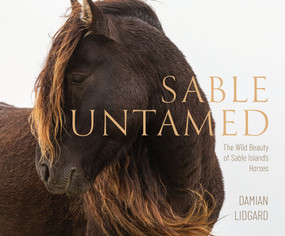 Sable Untamed (The Wild Beauty of Sable Island's Horses) by Damian Lidgard, 9781774714997