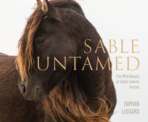 Sable Untamed (The Wild Beauty of Sable Island's Horses) by Damian Lidgard, 9781774714997