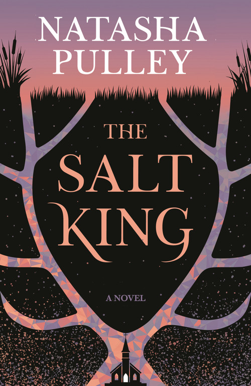 The Salt King (A Novel) by Natasha Pulley, 9781639737291