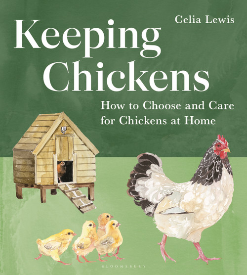 Keeping Chickens (How to Choose and Care for Chickens at Home) by Celia Lewis, Celia Lewis, 9781399423182
