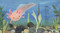 At the Edge: Curious Creatures of Planet Earth by David Elliott, Clover Robin, 9781536235258