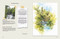 Painting Landscapes (Practical techniques to build confidence and develop your own unique style) by Alison C. Board, 9781800923157