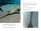 TIME for Kids: Sharks - 9798217145300 by Sarah Jospitre, TIME for Kids