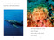 TIME for Kids: Sharks - 9798217145300 by Sarah Jospitre, TIME for Kids