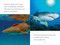 TIME for Kids: Sharks - 9798217145300 by Sarah Jospitre, TIME for Kids