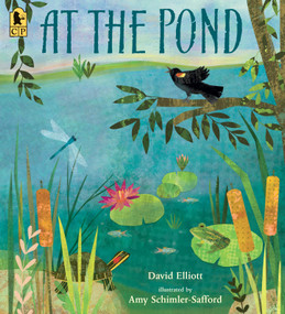 At the Pond - 9781536252705 by David Elliott, Amy Schimler-Safford, 9781536252705