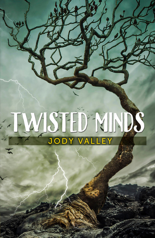 Twisted Minds by Jody Valley, 9781594934810