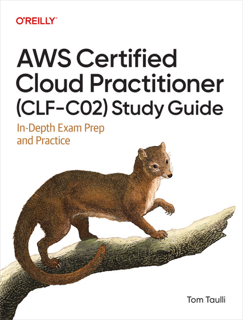 AWS Certified Cloud Practitioner (CLF-C02) Study Guide (In-Depth Exam Prep and Practice) by Tom Taulli, 9798341640221