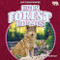 Life in Forest Biomes by Jennifer Boothroyd, 9798895775691