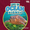 Life in Ocean Biomes by Jennifer Boothroyd, 9798895775738