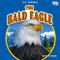 The Bald Eagle - 9798895775837 by Owen Hamlin, 9798895775837