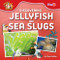 Discovering Jellyfish and Sea Slugs by Charis Mather, 9798895778111