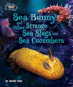 Sea Bunny and Other Strange Sea Slugs and Sea Cucumbers by Rachel Rose, 9798895776339