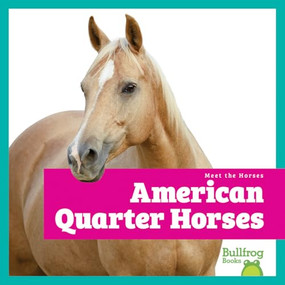 American Quarter Horses - 9798896622291 by Rachel Grack, 9798896622291