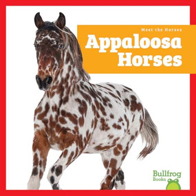 Appaloosa Horses - 9798896622321 by Rachel Grack, 9798896622321