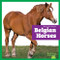 Belgian Horses - 9798896622352 by Rachel Grack, 9798896622352