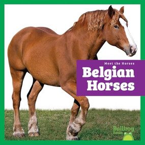 Belgian Horses - 9798896622352 by Rachel Grack, 9798896622352