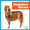 Miniature Horses - 9798896622383 by Rachel Grack, 9798896622383