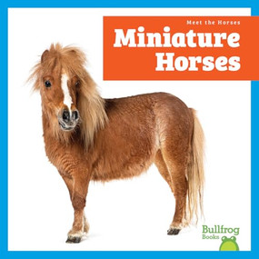 Miniature Horses - 9798896622383 by Rachel Grack, 9798896622383