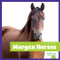 Morgan Horses - 9798896622413 by Rachel Grack, 9798896622413