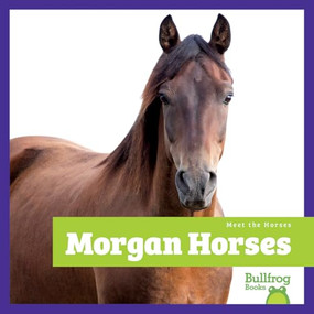 Morgan Horses - 9798896622413 by Rachel Grack, 9798896622413