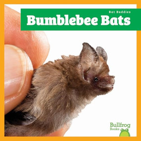 Bumblebee Bats by Jenna Lee Gleisner, 9798896621904