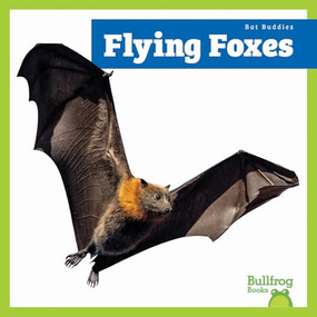 Flying Foxes - 9798896621935 by Lily Austen, 9798896621935