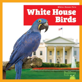 White House Birds by Lily Austen, 9798896622659