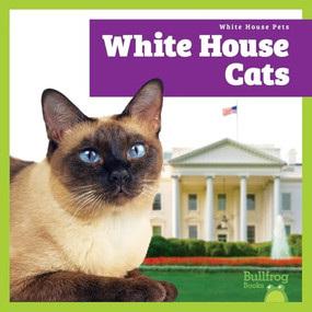 White House Cats by Lily Austen, 9798896622680