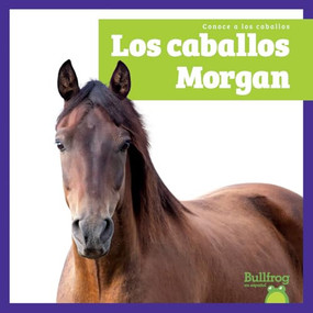 Los caballos Morgan (Morgan Horses) (Spanish Edition) by Rachel Grack, 9798896624332