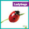 Ladybugs - 9798896623977 by Genevieve Nilsen