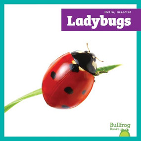 Ladybugs - 9798896623977 by Genevieve Nilsen, 9798896623977