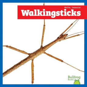 Walkingsticks - 9798896624004 by Charlie W. Sterling, 9798896624004