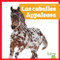 Los caballos Appaloosa (Appaloosa Horses) (Spanish Edition) - 9798896624257 by Rachel Grack