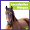 Los caballos Morgan (Morgan Horses) (Spanish Edition) - 9798896624349 by Rachel Grack