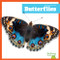 Butterflies - 9798896623892 by Adeline J. Zimmerman, 9798896623892