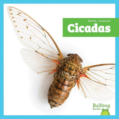 Cicadas - 9798896623922 by Tessa Kenan