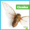 Cicadas - 9798896623922 by Tessa Kenan